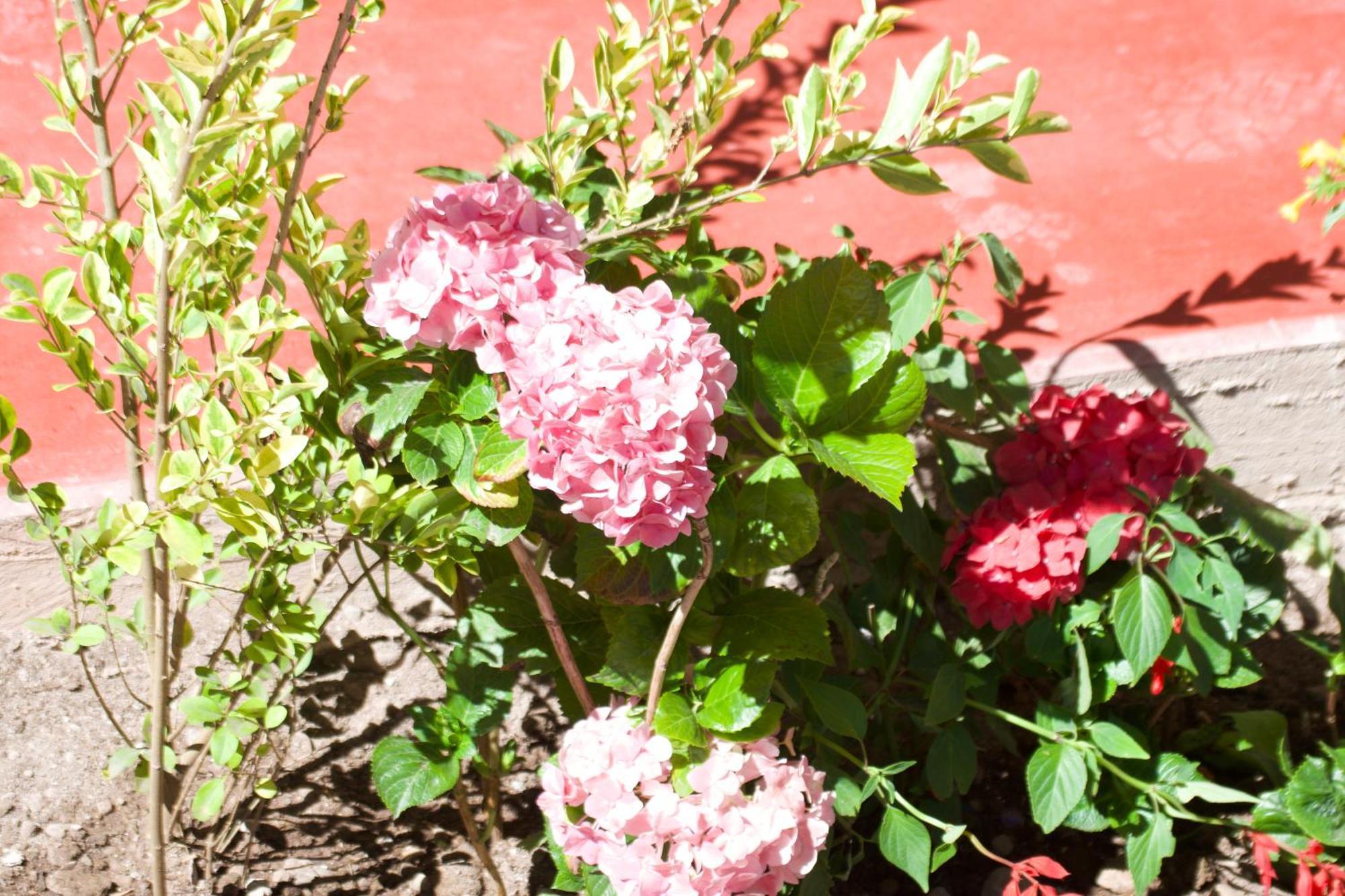 New Experiences Valle Sagrado Bed and Breakfast Urubamba Esterno foto
